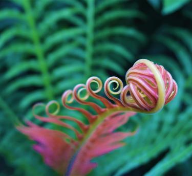 Wonder Workshops at Eden